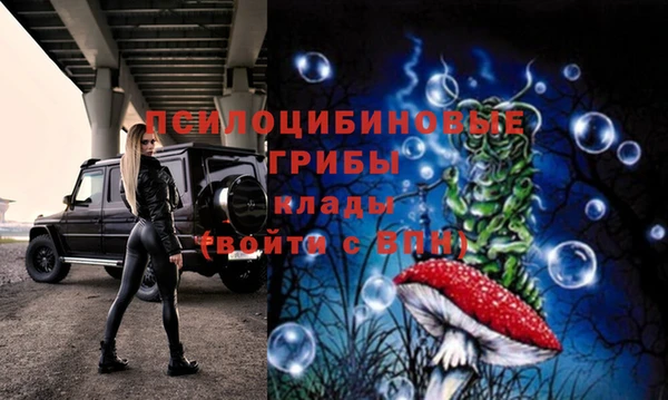 спайс Осташков