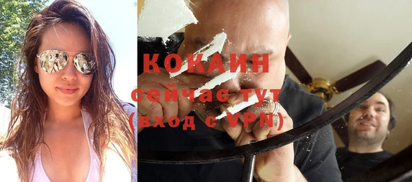 прущие грибы Чердынь