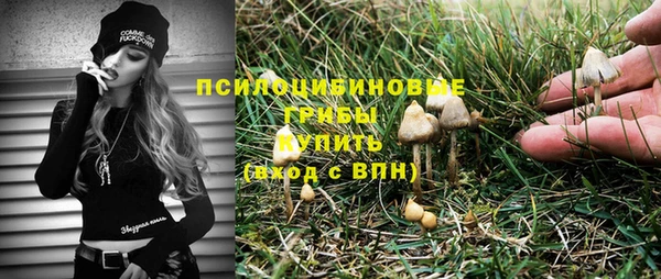 Альфа ПВП Осинники