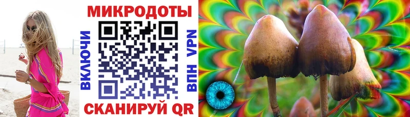 магазин продажи   Кремёнки  Галлюциногенные грибы MAGIC MUSHROOMS 